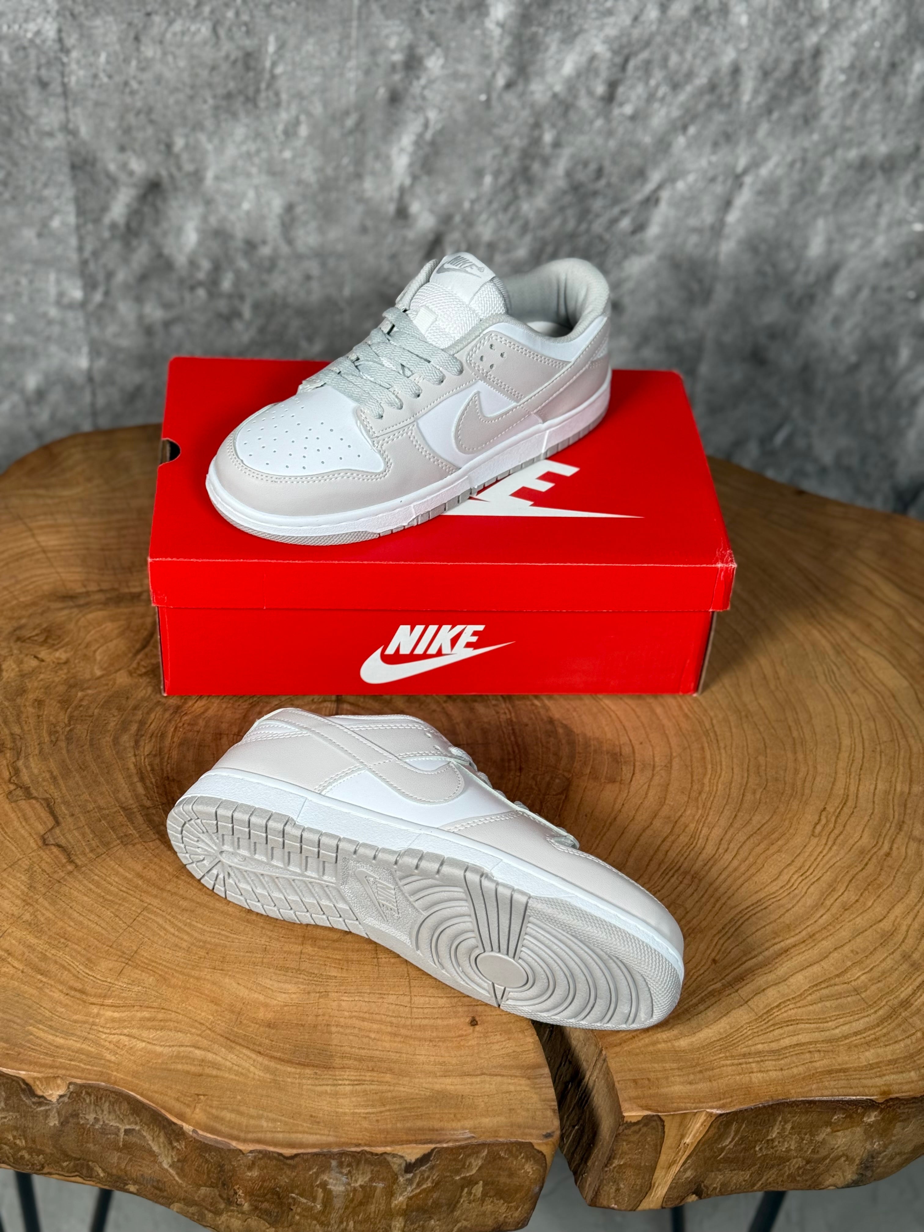 NK DUNK LOW MODEL