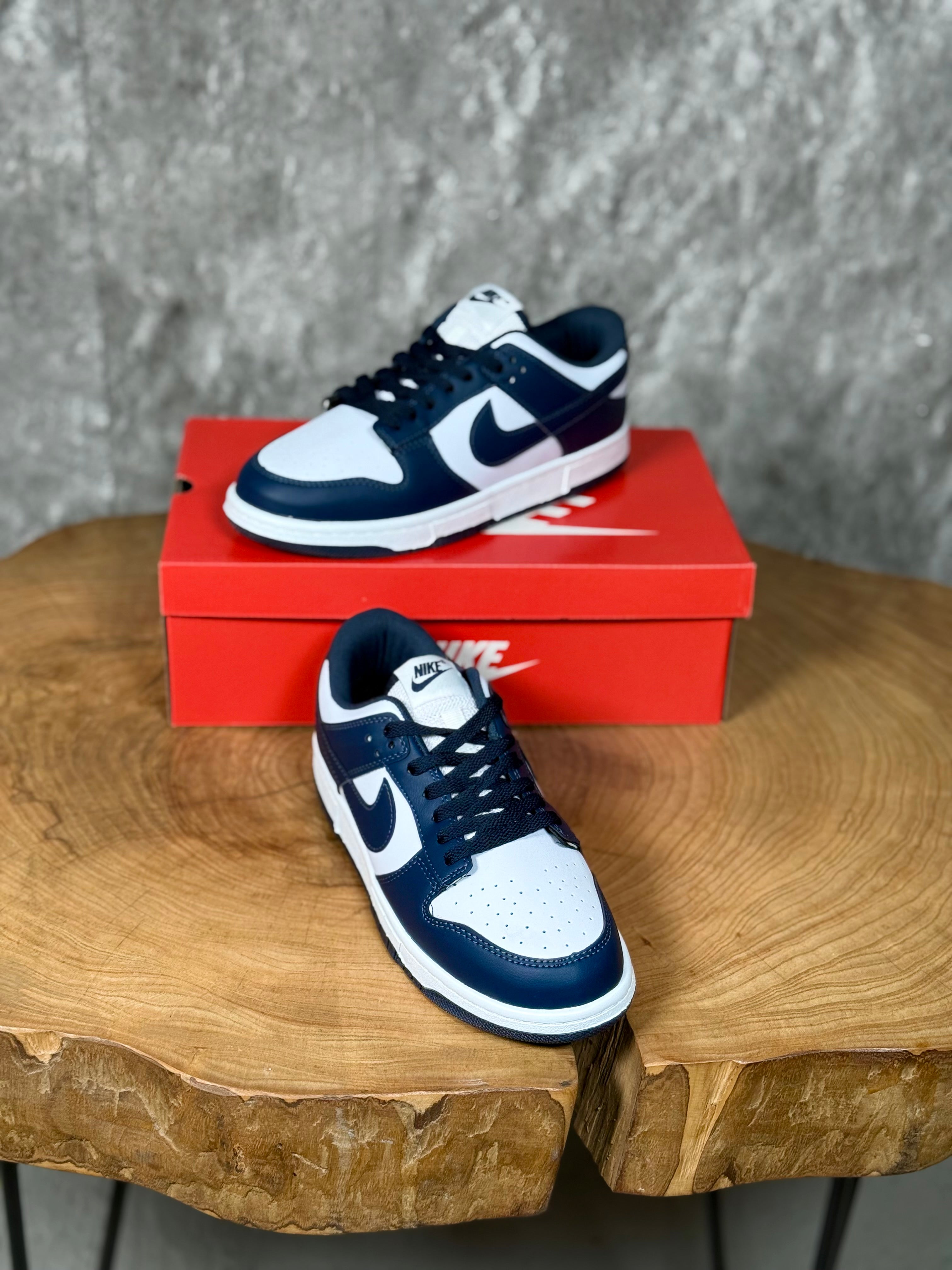 NK DUNK LOW MODEL