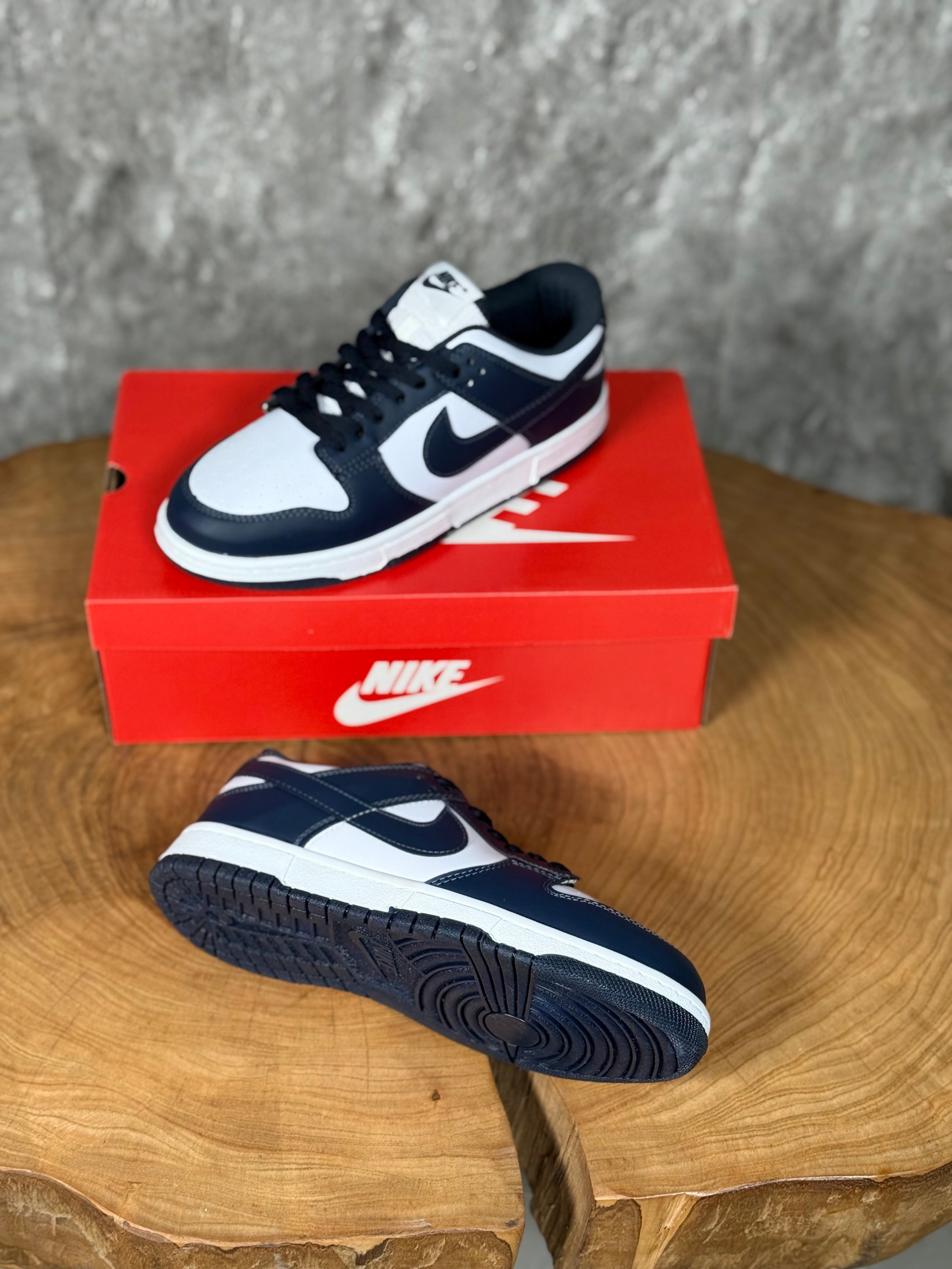 NK DUNK LOW MODEL